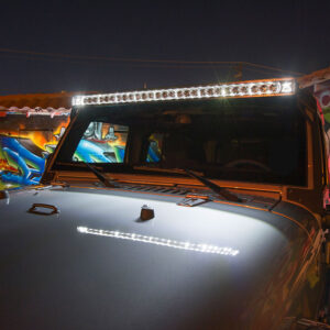 Rigid Radiance PRO 10 LED Fjernlys – produktbilde
